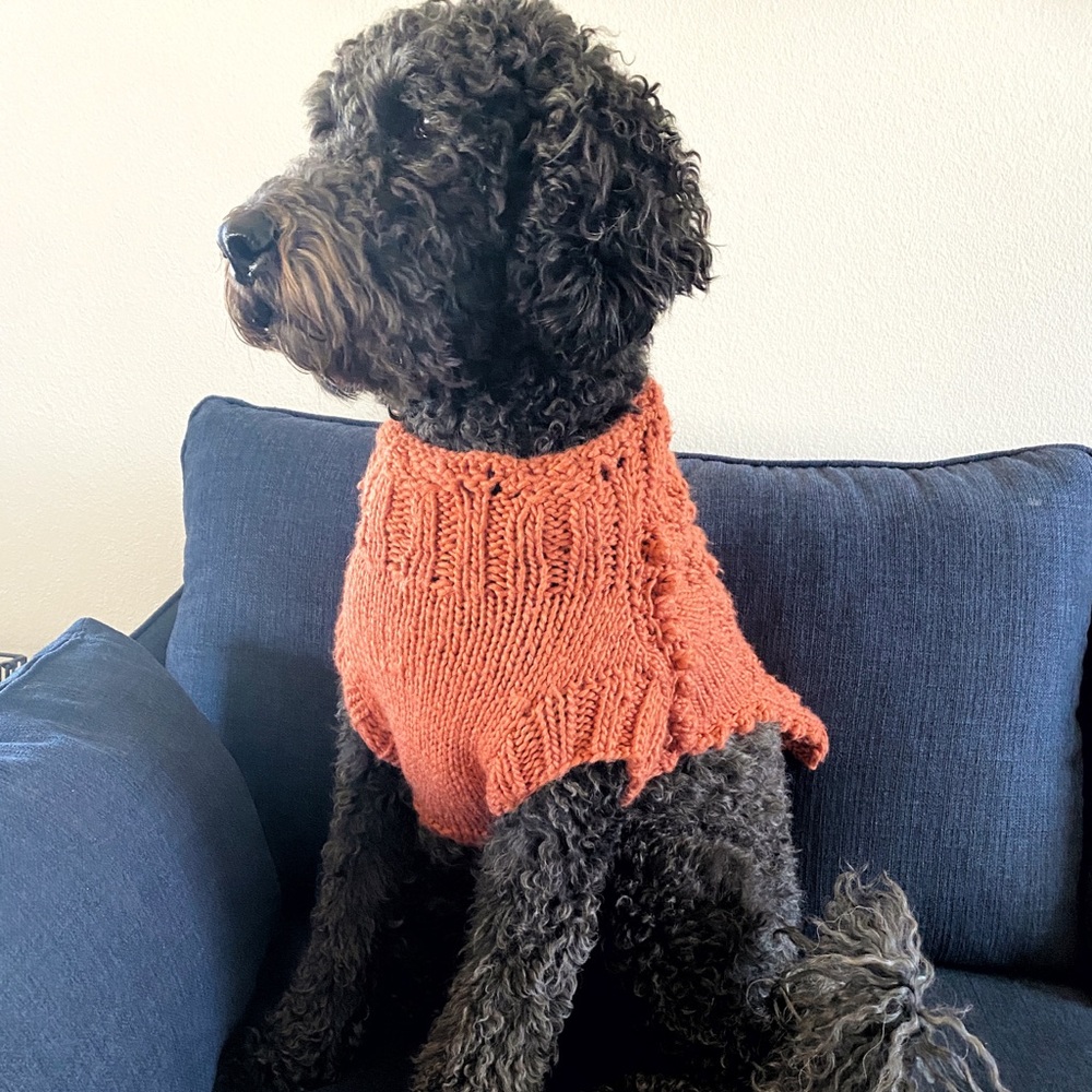 Knit dog sweater